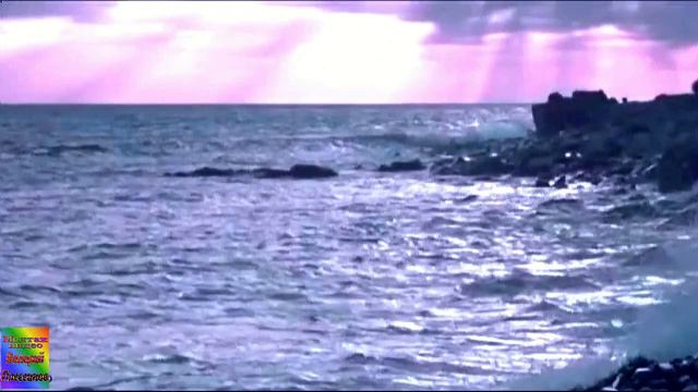 Валерий Палаускас - ПОЦЕЛУЙ СЛАДКИЙ МЁД смотреть онлайн