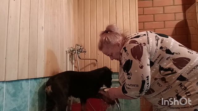 ПОЛУЧИЛИ ДВЕ ПОСЫЛКИ /СЕРГЕЙ СДЕЛАЛ ЛЕСТНИЦУ, ПЕЧКУ ДЛЯ КАЗАНА смотреть онлайн