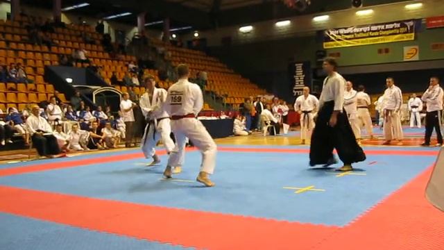 Чемпионат Европы по Традиционному Карате ITKF 2011 смотреть онлайн
