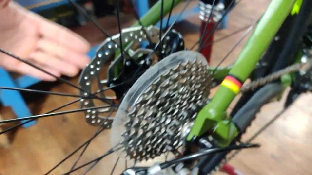 Silverback Spectra Comp 2019