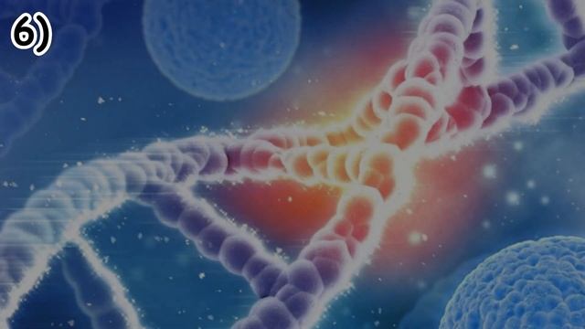 Домашние рецепты от Нины