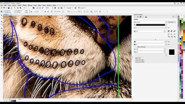 Manually trace of a tiger's head in CorelDRAW смотреть онлайн