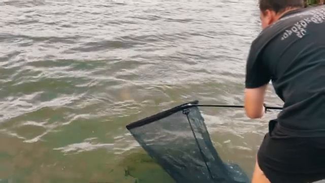 НЕРВНАЯ КОНЦОВКА ТУРНИРА! Ловим КАРПА на СВОИ БОЙЛЫ! Соревнования по карпфишингу - ЛИГА CARPTODAY! смотреть онлайн