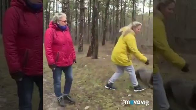 Кане Корсо Крым. А у нас были гости смотреть онлайн