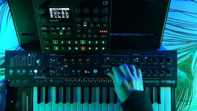 Jamuary2023 - Day 17 - Minifreak on Acid смотреть онлайн