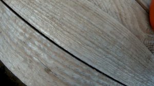 розовый детерменантный   томат вернер f1