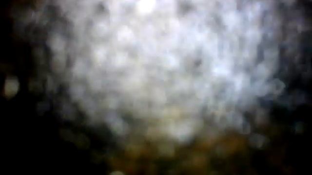 ДВС Z16XEP без навес Astra Н (мк п34/2, №1)