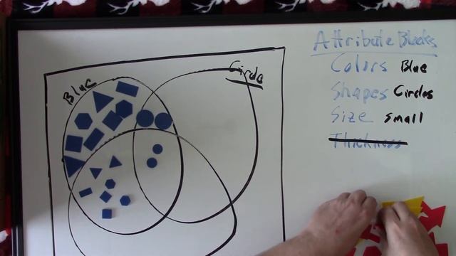 Venn Diagram Activity