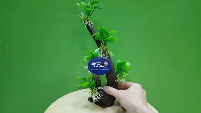 Коряга с Анубиас нано смотреть онлайн