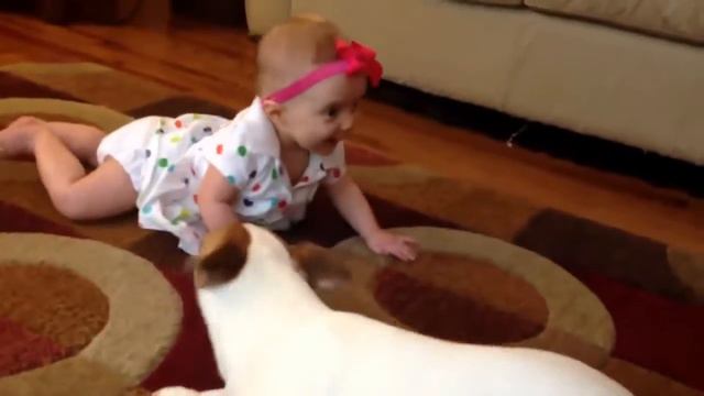 Стоимость усыпления собаки на дому смотреть онлайн