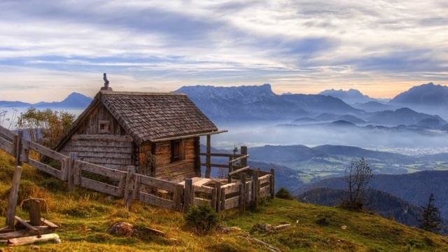 John Adorney. Trees Of Gold