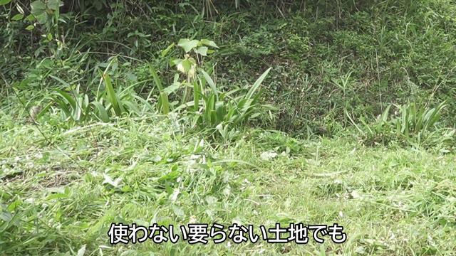 【50代主婦】【売れない空き家】１７年間誰も相続しなかった家/相続した土地と家を手放す/大変な空き家の管理/不動産は所有しない方がいい/リースバックで住む смотреть онлайн