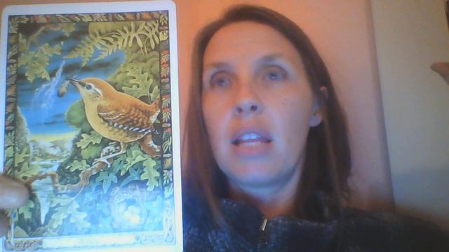 Oracle cards for R смотреть онлайн