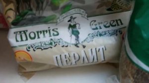 Как отсадить кливию-детку