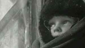 Как кошки спасали блокадный Ленинград.