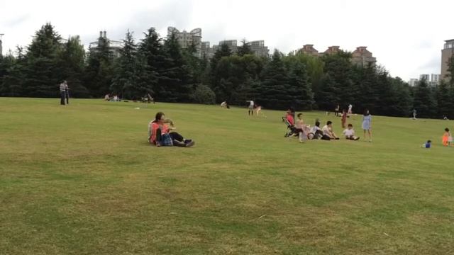 Century park , shanghai - hyperlapsed смотреть онлайн