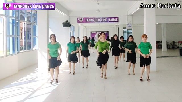 Amor Bachata Line Dance - Absolutely Beginner смотреть онлайн