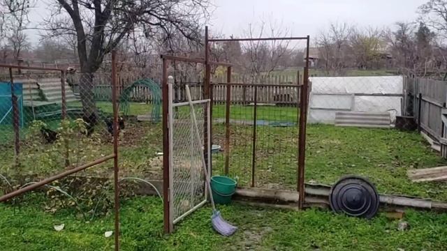 #500ДЕРЕВЕНСКАЯ ЖИЗНЬ В СТАНИЦЕ/КУРИНЫЙ ПЕРЕПОЛОХ/ПЕРВЫЕ ЯЙЦА смотреть онлайн