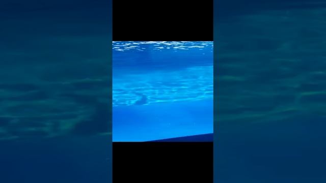 Резиновая краска для бассейна смотреть онлайн