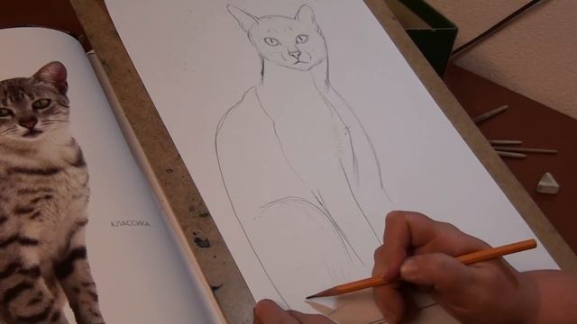 Рисуем кошку часть 2 смотреть онлайн