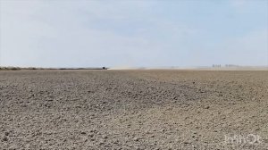 ДТ-75 с мотором ЯМЗ-236