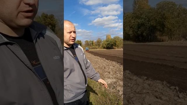 Внесение азота, фосфора и калия. Последняя обработка почвы перед посадкой чеснока сорта  