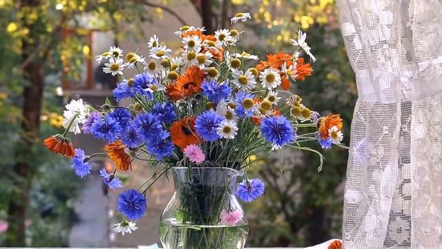 Поздравление С Добрым Утром! Нежное утро! Красивое пожелание! смотреть онлайн