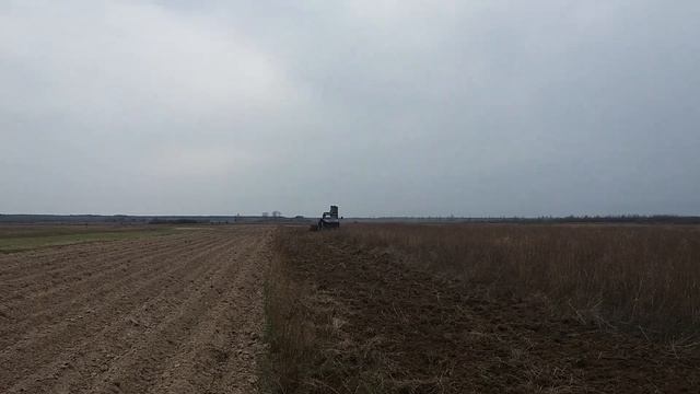 Мини бизон на дровах смотреть онлайн