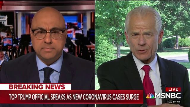 Peter Navarro on MSNBC смотреть онлайн