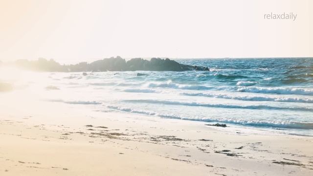 Calm Music - Music For Focus, Study, Meditation, Relax Music [N°136 - 3h]