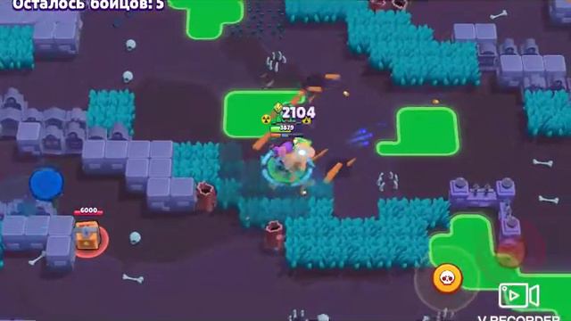 Играю в браво Старс ТОП 1 заруба с щели ели выжил смотреть онлайн