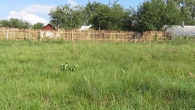 Продам участок 9.5соток г.Житомир смотреть онлайн