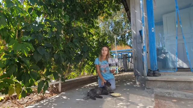 Тестирование корма Пурина Про план (Purina Pro Plan) смотреть онлайн