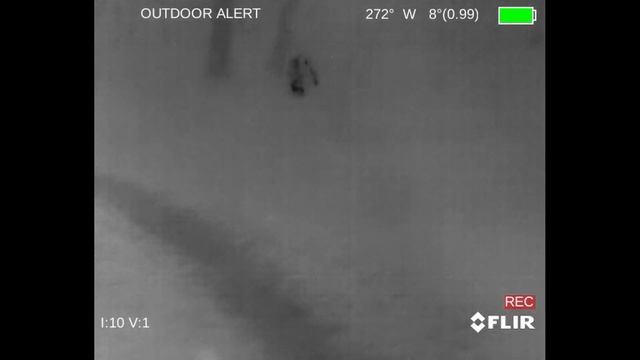 PVS 14 vs Sionyx vs Flir PTQ 136 против вайперхуд смотреть онлайн