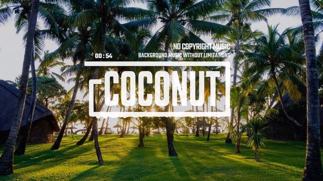 Non Copyright Music смотреть онлайн