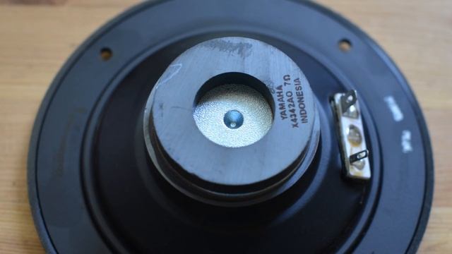 Как звучит высокая добротность динамика? Обратный магнит.