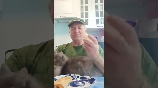 Ем блины с огурцом а кот Тимка тут как тут смотреть онлайн