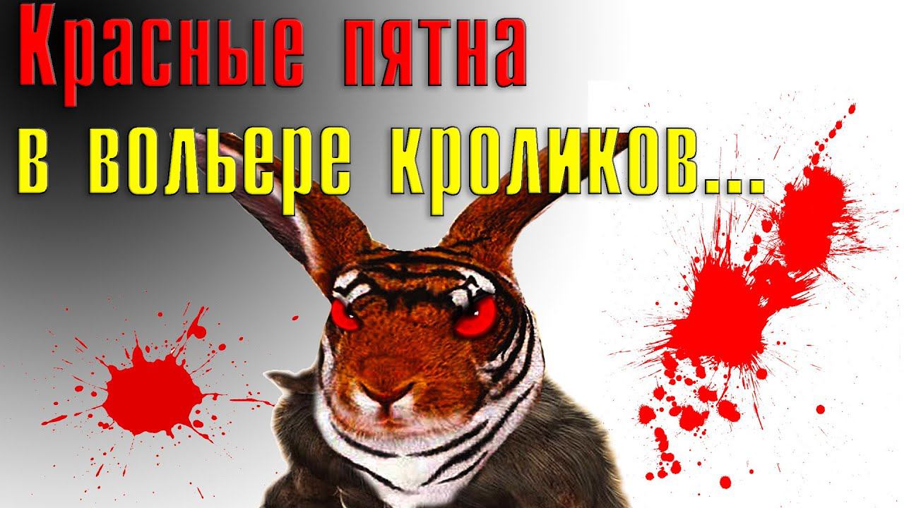 Красные пятна на полу вольера... смотреть онлайн