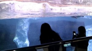 Владивосток | Что посмотреть? |Топ мест |  Самый красивый город России |