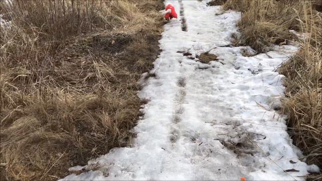 1 Апреля. Гуляем с другом Пряником. смотреть онлайн