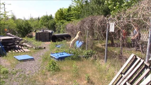 Tallon (5-25-18) смотреть онлайн