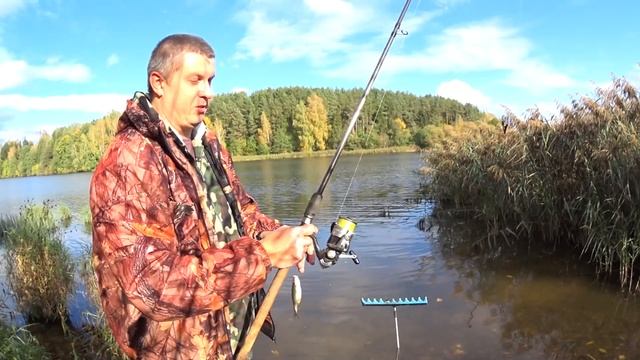 Рыбалка в Беларуси. Ловля на фидер. Что тут ловят?? смотреть онлайн