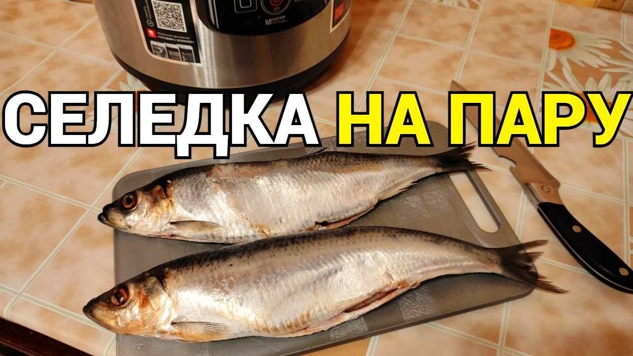 Селедка приготовленная на пару в мультиварке смотреть онлайн