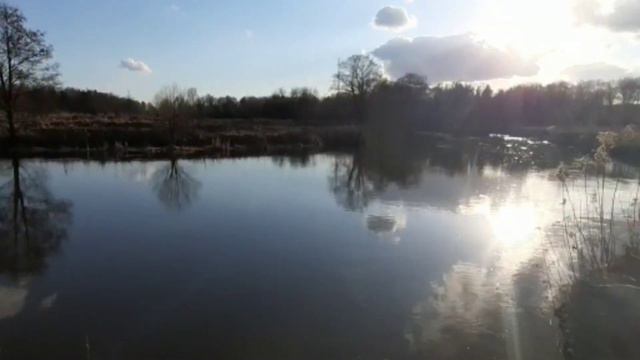 Relax Music желает вам хорошего дня. Классическая музыка. смотреть онлайн