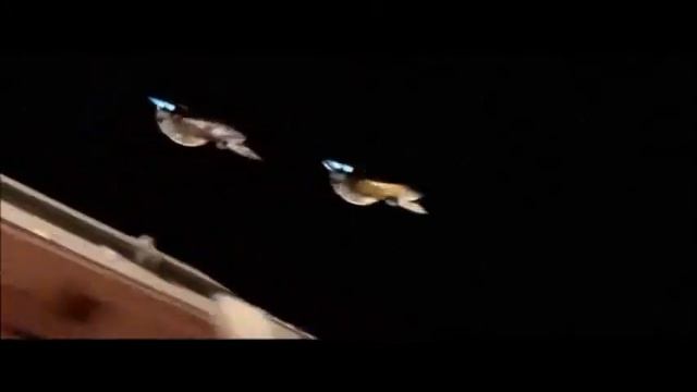 Юлий Хайт (сл. П. Герман) - Марш авиаторов (Мы рождены, чтоб сказку сделать былью) смотреть онлайн