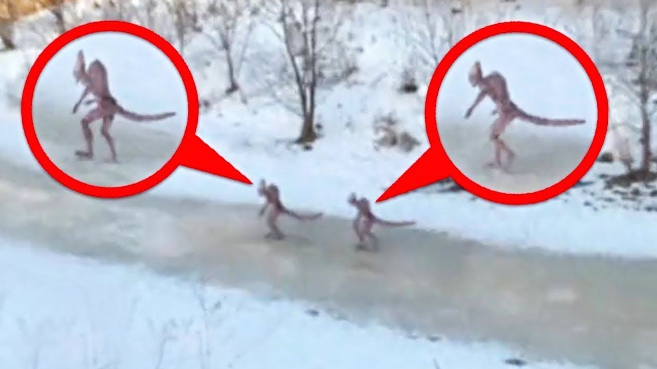 10 неожиданных моментов, которые невозможно объяснить смотреть онлайн