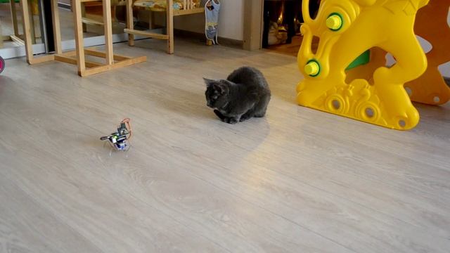 Робот на самодельной Ардуино смотреть онлайн