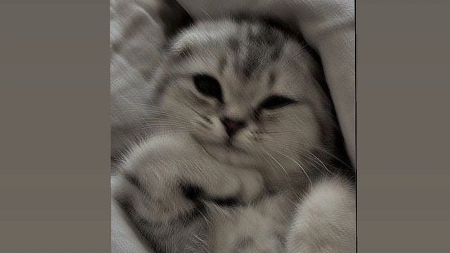 Отпусти меня не твоя не твоя я ты прости меня (sped up) смотреть онлайн