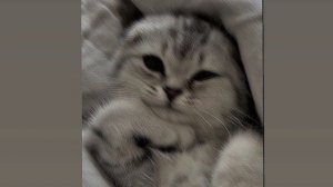 Отпусти меня не твоя не твоя я ты прости меня (sped up)