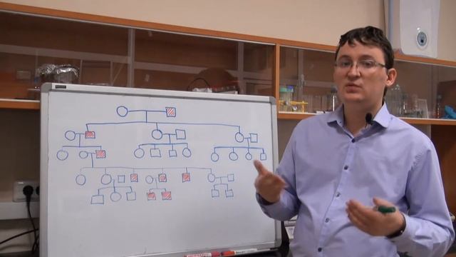 Анализ родословных. Урок 5. Задача 7.3 (быстрый разбор в конце видео) смотреть онлайн